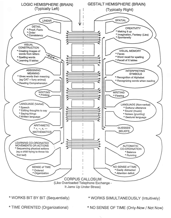 Logic & Gestalt Brain Functions